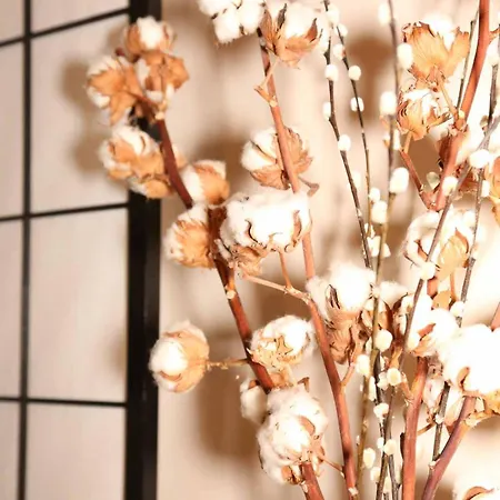 Le Jade Rouge - Japonais En Normandie 펜션 *